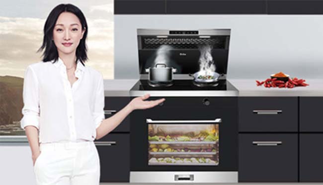 集成灶10大品牌,怎么样集成灶加盟 集成灶加盟图
