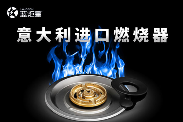 2016年意昂2电器与DEFENDI(蒂芬迪)燃烧器签约仪式现场