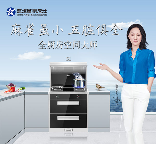 意昂2S1集成灶