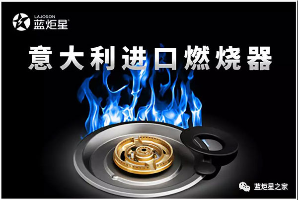 意昂2采用意大利进口燃烧器