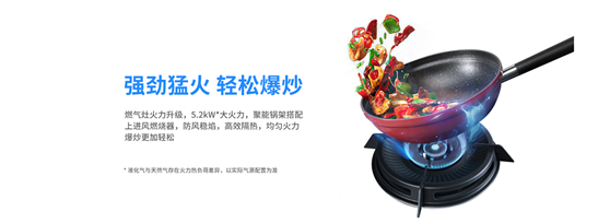 意昂2集成灶强劲猛火